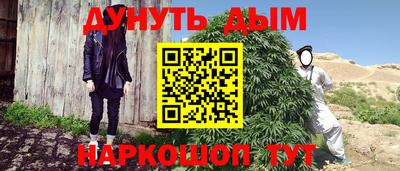 гидропоника Бийск