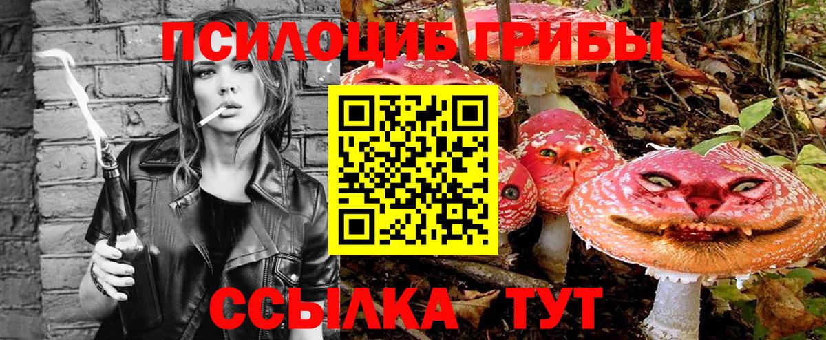 Псилоцибиновые грибы GOLDEN TEACHER  Галлюциногенные грибы Psilocybine cubensis  Вход с VPN  Иваново 