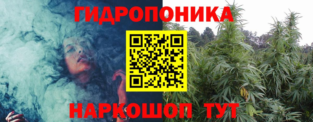 Каннабис планчик  Бошки марихуана индика  Вход с VPN  Канабис LSD WEED  Иваново 